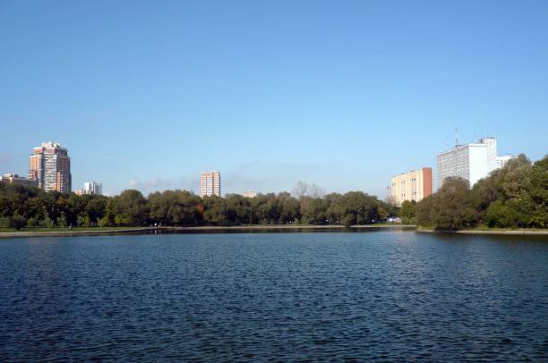 istock summer in city park 1136010410