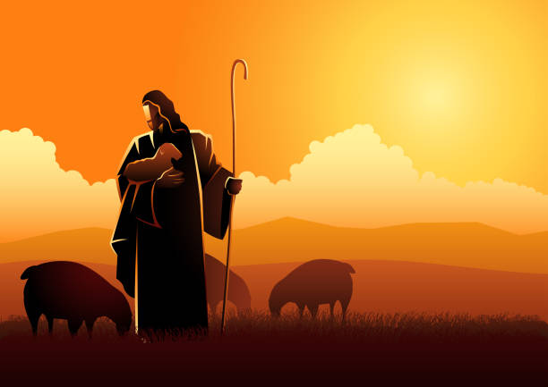 Jesus as a shepherd Biblical vector illustration of Jesus as a shepherd sheep stock illustrations