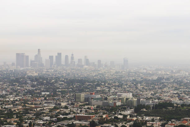 istock Beautiful view of Los Angeles CA 1136011780