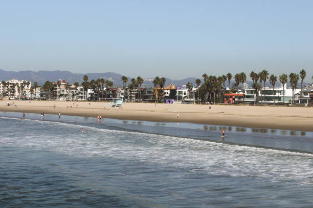 istock Venice Beach, Los Angeles CA 1136011786