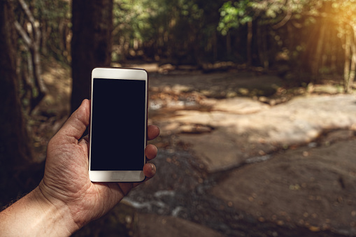 Person using smartphone in tropical forest. Mockup image