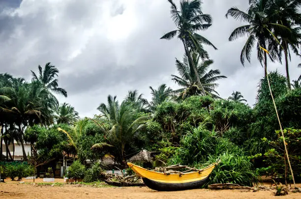 Photo of Fishing boat on the sand among the palm trees under a stormy sky. Kalutara. Sri Lanka