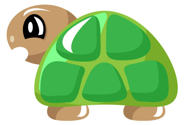 Angry Cartoon Green Turtle Tortoise Vector Illustration Stock Illustration  - Download Image Now - iStock