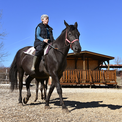 Horse riding therapy for senior people. Woman over 50 years of age on a horseback. Black mare with little colt.  Sunny day with blue sky.