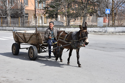 Barakovo, Bulgaria - March 15, 2019: Poor mentally challenged old man on aged wooden donkey cart.