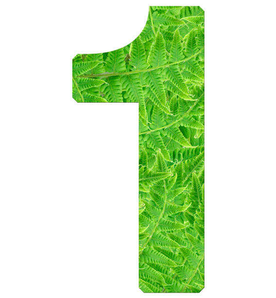 istock number 1 with fern texture 1136020735