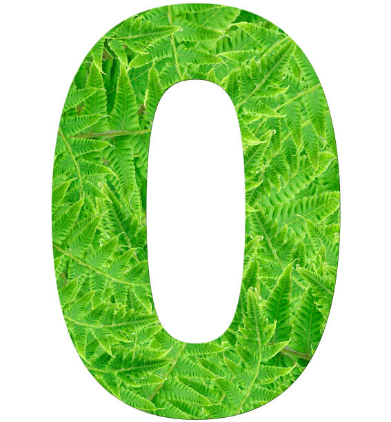 istock number 0 with fern texture 1136020823