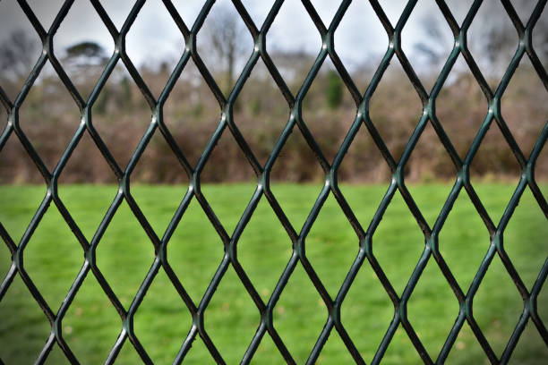 istock Grass through a metal fence 1136020985
