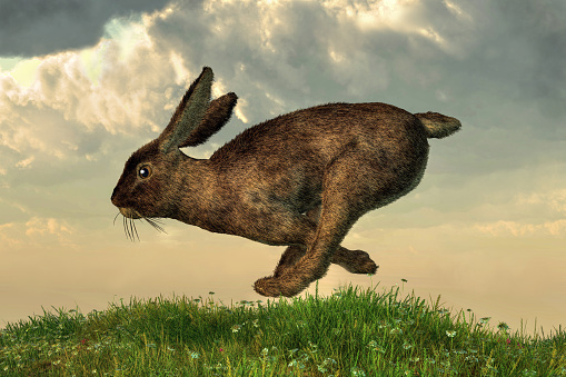 A brown rabbit dashes across a springtime field beneath cloudy skies. 3D Rendering