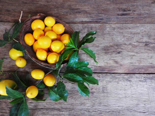 istock Abiu harvest of the day 1136026282