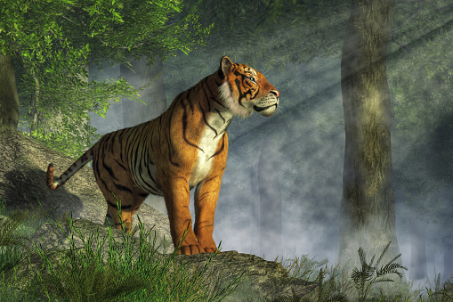 A tiger stands on boulders in a jungle.  Sunlight breaks through the tree canopy and shines down on the big cat. 3D Rendering