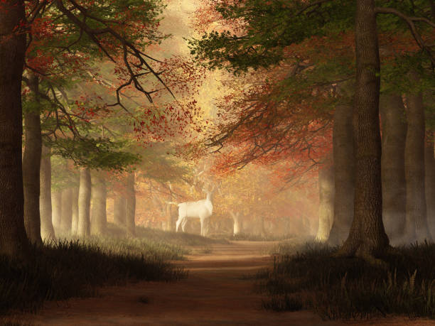The White Elk In a forest alive with the colors of fall, the sun breaks though the autumn canopy illuminating a clearing up ahead on the path. In that clearing stands a rare animal: an all white elk. 3D Rendering albino deer stock pictures, royalty-free photos & images