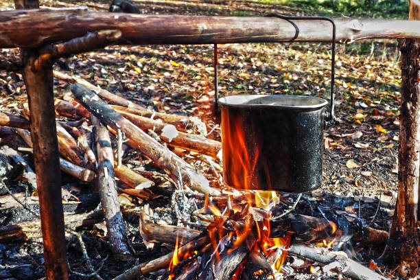 istock Fire burning in the trees in the campaign. 1136028334