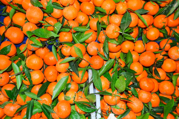 wiele lśniących organicznych jasnych nasyconych pomarańczy na rynku. wzór z liśćmi - leafes fruit orange leaf zdjęcia i obrazy z banku zdjęć