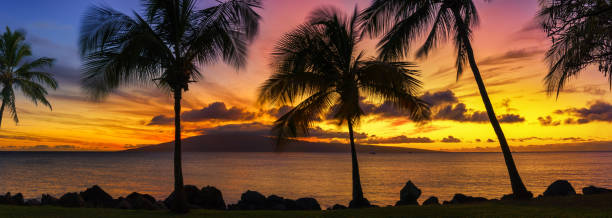 sonnenuntergang auf hawaii - oahu water sand beach stock-fotos und bilder