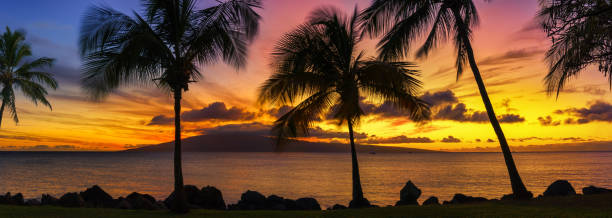 tramonto alle hawaii - oahu water sand beach foto e immagini stock