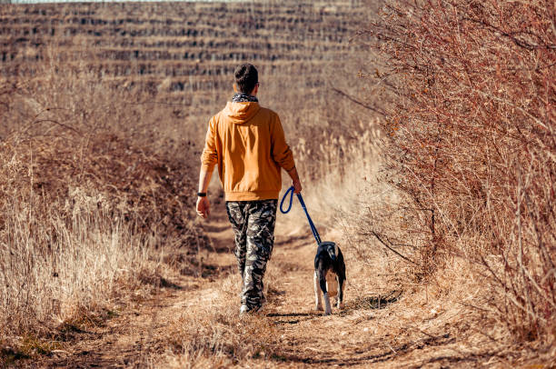istock Pit Bull Terrier Dog on Leash Walking with His Owner on Country FootPath 1136036577