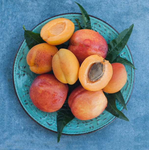 istock Authentic organic food. Peaches Italian delishes 1136037621