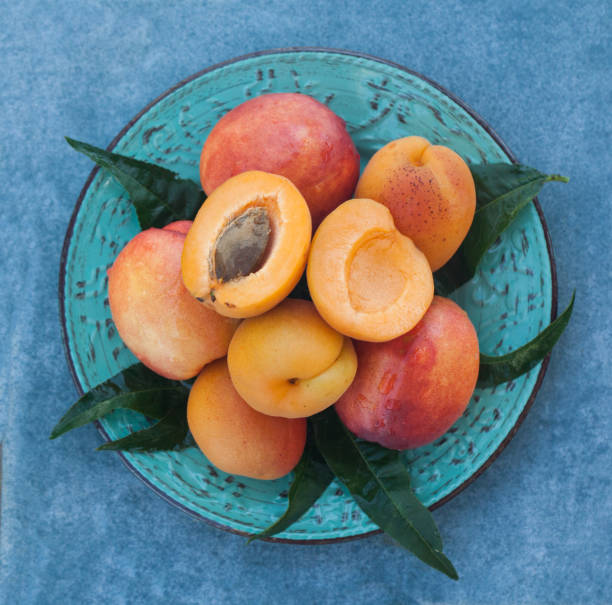 istock Authentic organic food. Peaches Italian delishes 1136037629