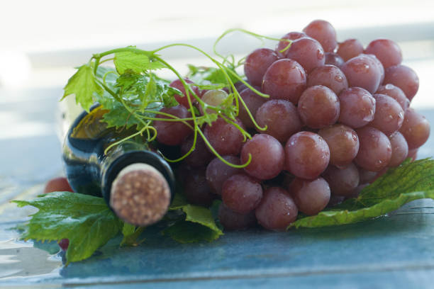 Authentic organic food. Grape Italian delishes