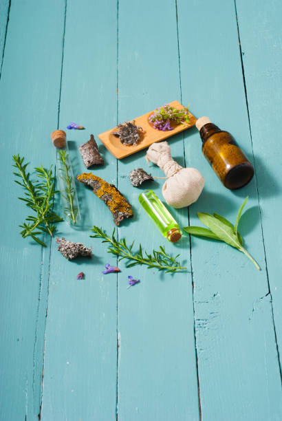 istock Alternative medicines, herbal plants on blue 1136038219