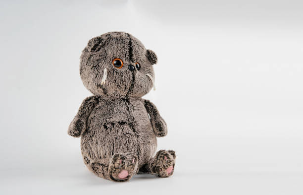 istock plush toy in the background 1136040351