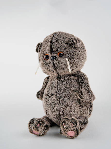 istock plush toy in the background 1136040432
