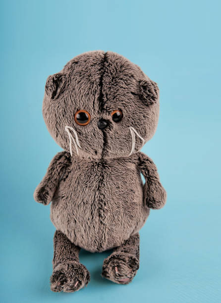 istock plush toy in the background 1136040698