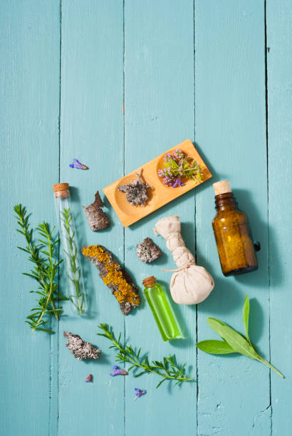 istock Alternative medicines, herbal plants on blue 1136041972