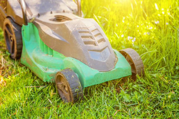 istock Lawn mower cutting green grass in backyard 1136044474