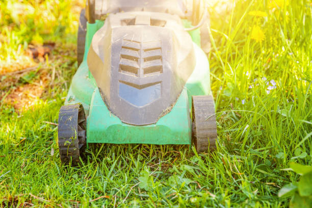 istock Lawn mower cutting green grass in backyard 1136044500