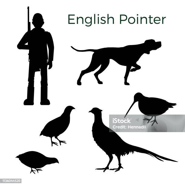 Feathered Game Hunting Set Stock Illustration - Download Image Now - Icon Symbol, Pheasant - Bird, Pointer - Dog