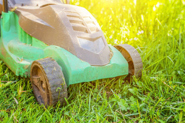 istock Lawn mower cutting green grass in backyard 1136044832