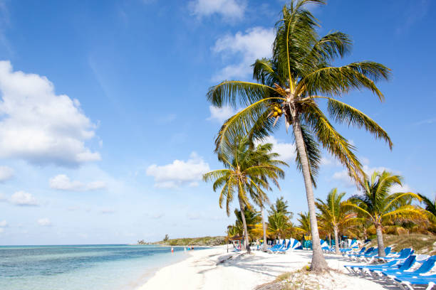 istock Caribbean Island Tourist Beach 1136045011