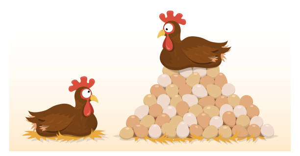 ilustraciones, imágenes clip art, dibujos animados e iconos de stock de pila de huevo de pollo - adulador