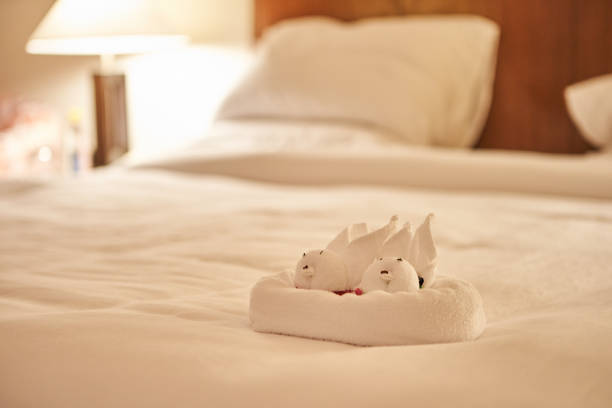 istock folded towel as animal at bed time 1136060677