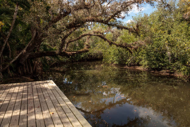 istock ld dock along the riverway at historic Koreshan State Park. 1136062407