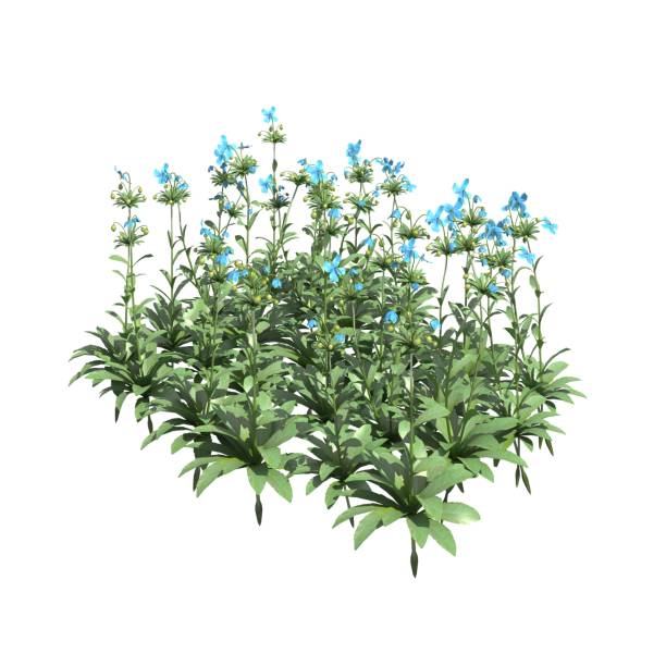 istock Plants 3d illustration isolated on the white background 1136065773