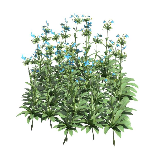istock Plants 3d illustration isolated on the white background 1136065781