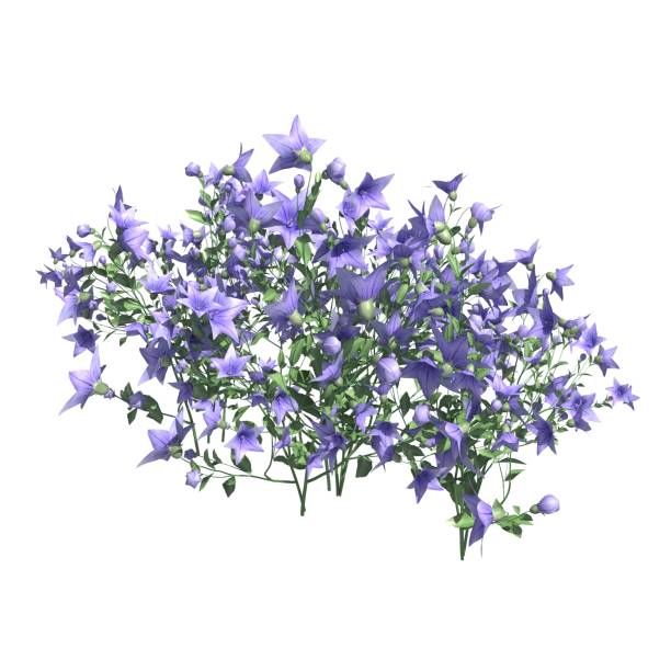 istock Plants 3d illustration isolated on the white background 1136065840