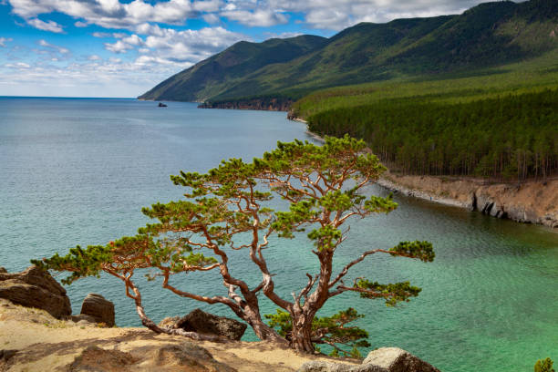 Lake Baikal Summer Lake Baikal Summer day siberia summer stock pictures, royalty-free photos & images