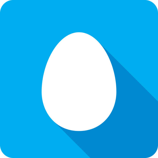 Egg Icon Silhouette Vector illustration of a blue egg icon in flat style. animal stage stock illustrations