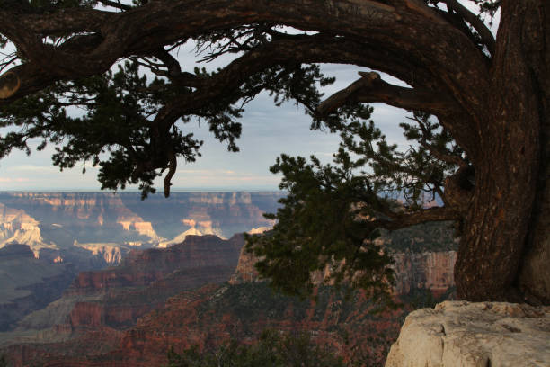 istock Grand Canyon National Park 1136068469