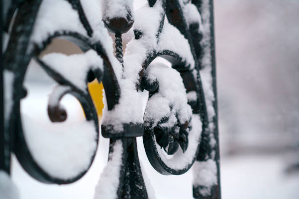Fence of Capitol Building, Canada