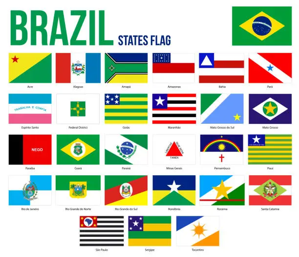 Vector illustration of Brazil States Flag Collection Vector Illustration in Official Colors And Proportion