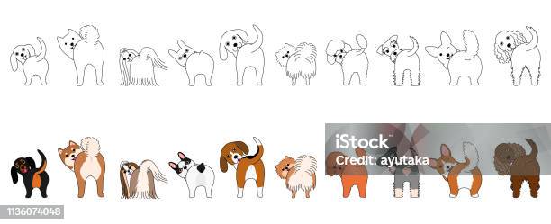 Set Of Funny Small Dogs Showing Their Butts Stock Illustration - Download Image Now - Dog, Buttocks, Illustration