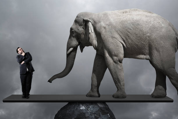 istock Business man and  elephant 1136075321