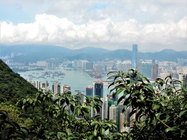 istock Hong Kong. View from the Victoria mountain. 1136077125