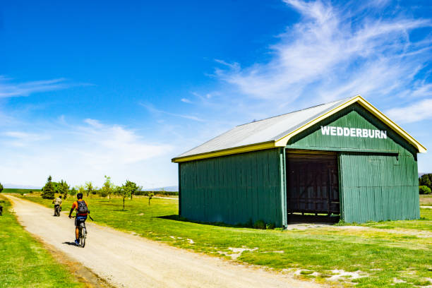 on Central Otago Rail Trail cyclists passing old landmark green rail shed October 2018 New Zealand