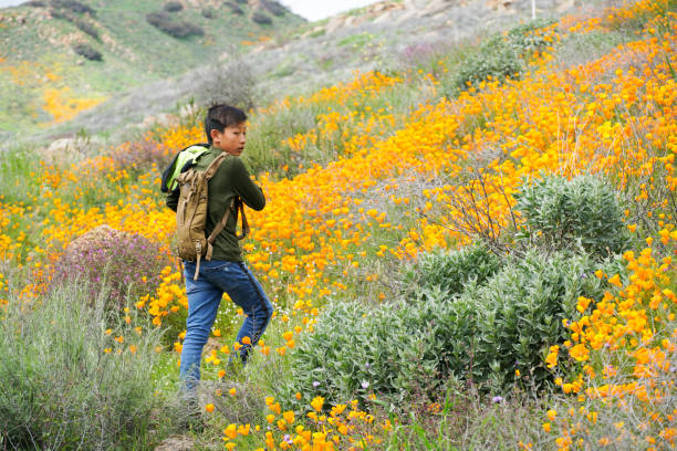 joven deportivo asiático niño disfrutando y senderismo la montaña - poppy oriental poppy plant spring fotografías e imágenes de stock